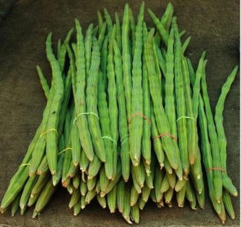 Drumstick Moringa vegetable 200 Grams